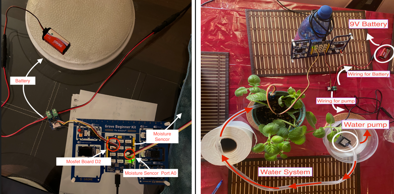 Plant Watering Project